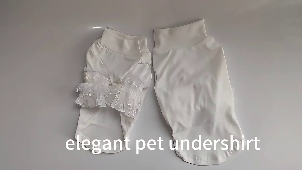 Elegant Lace Long Sleeved Dog Base Coat