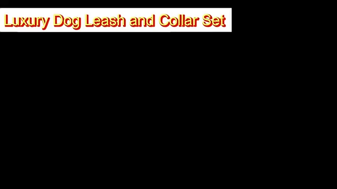 Dog Collar Leash Nylon Rose Gold Buckle