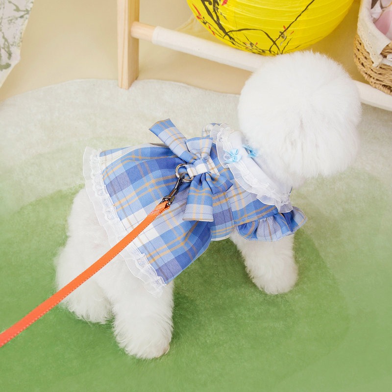 Teddy Bear Style Campus Dress with Leash Hook