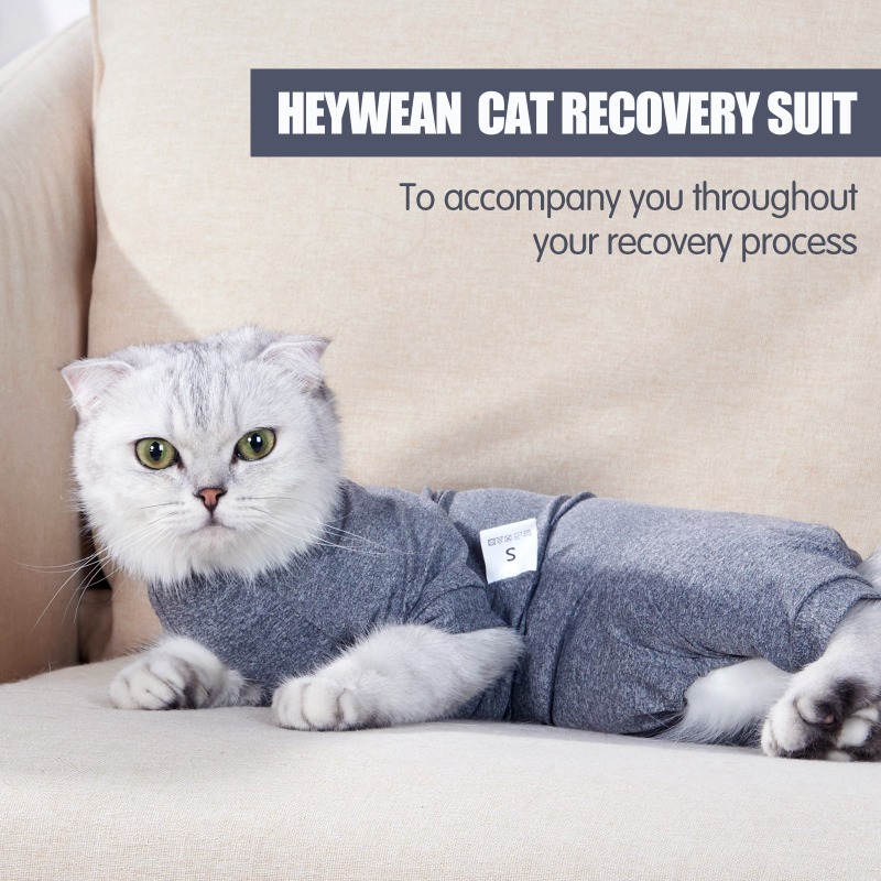 Cat Anti-Shedding Four-Legged Postoperative Suit