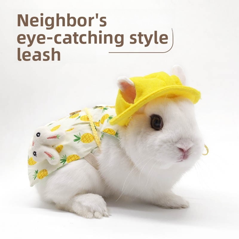 Classic Tuxedo for Gentleman Dogs