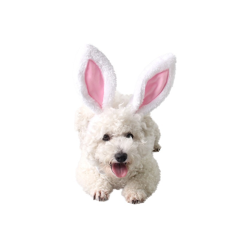 Cartoon Plush Rabbit Ear Pet Headband