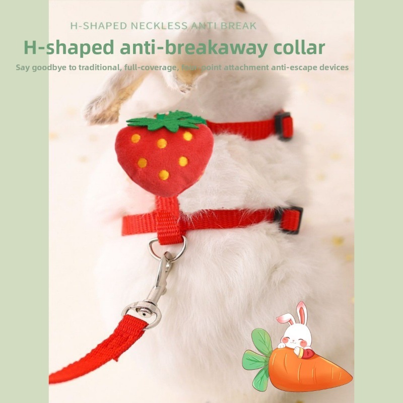 Small Animal Harness Leash Fruit Cartoon Set