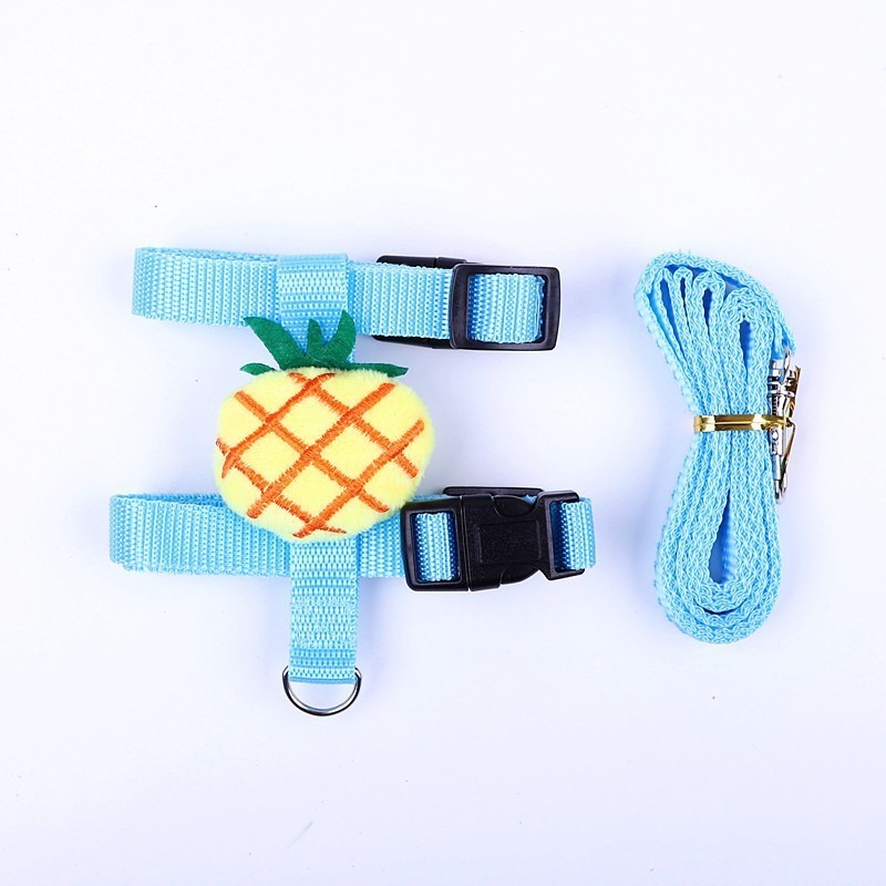 Small Animal Harness Leash Fruit Cartoon Set