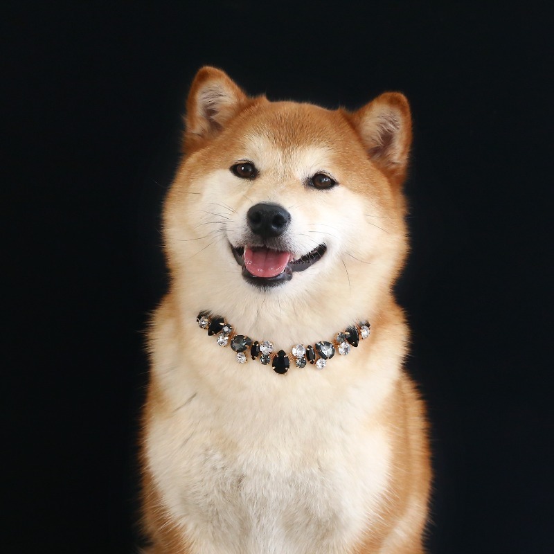 Pet Rhinestone Necklace Collar Princess Style