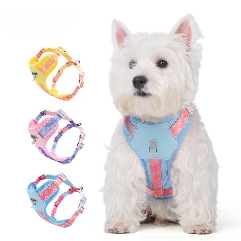 Dog Chest Harness Breathable Color Block