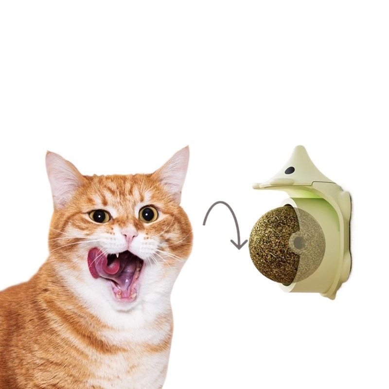 Cat Mint Hedgehog Chew Toy