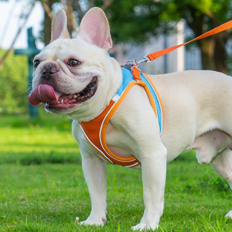 Dog Chest Harness Reflective Nylon Tank Style