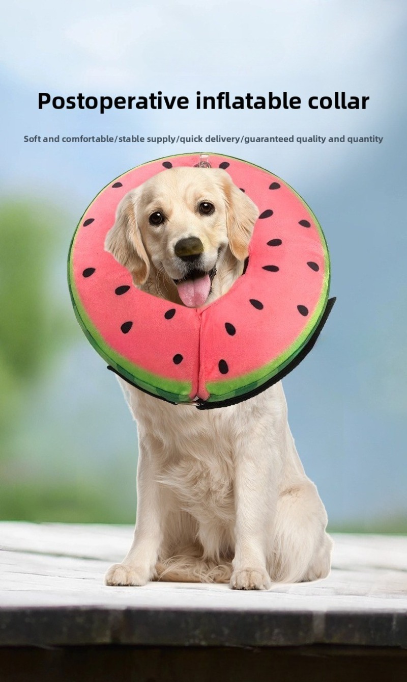 Dog Inflatable Recovery Collar Watermelon Shape
