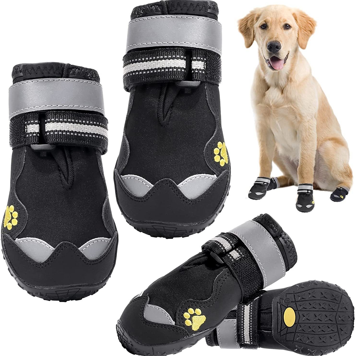 Pet Shoes