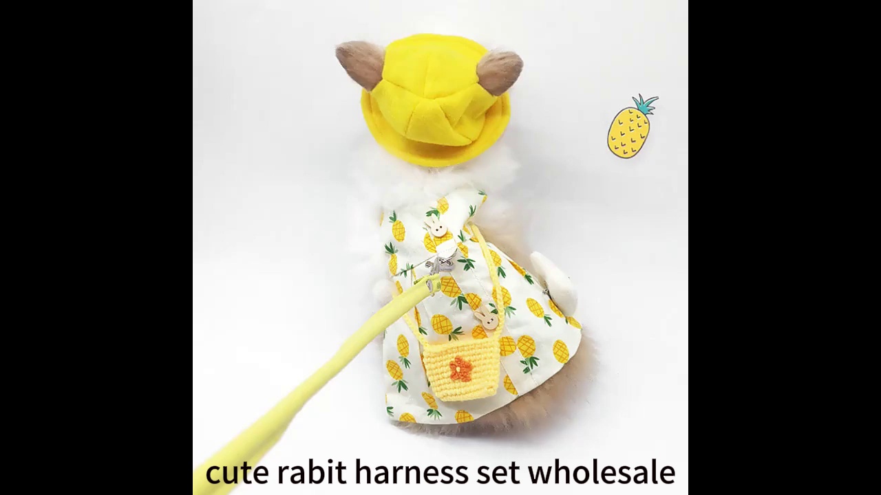 Classic Tuxedo for Gentleman Dogs