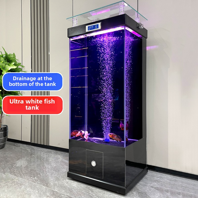Modern Vertical Glass Aquarium with Display Screen