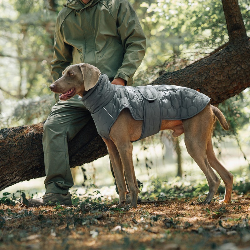 Reflective Velcro Dog Waistcoat for Autumn Winter
