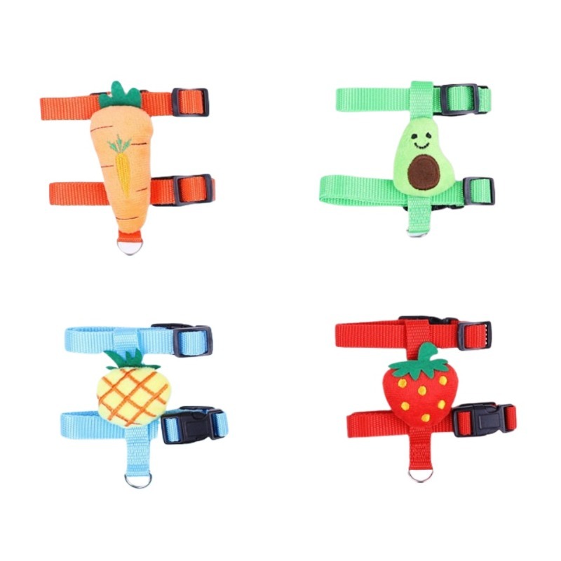 Small Animal Harness Leash Fruit Cartoon Set