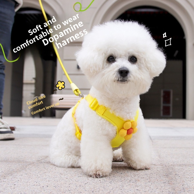 Dog Harness Set Flower Decoration Adjustable