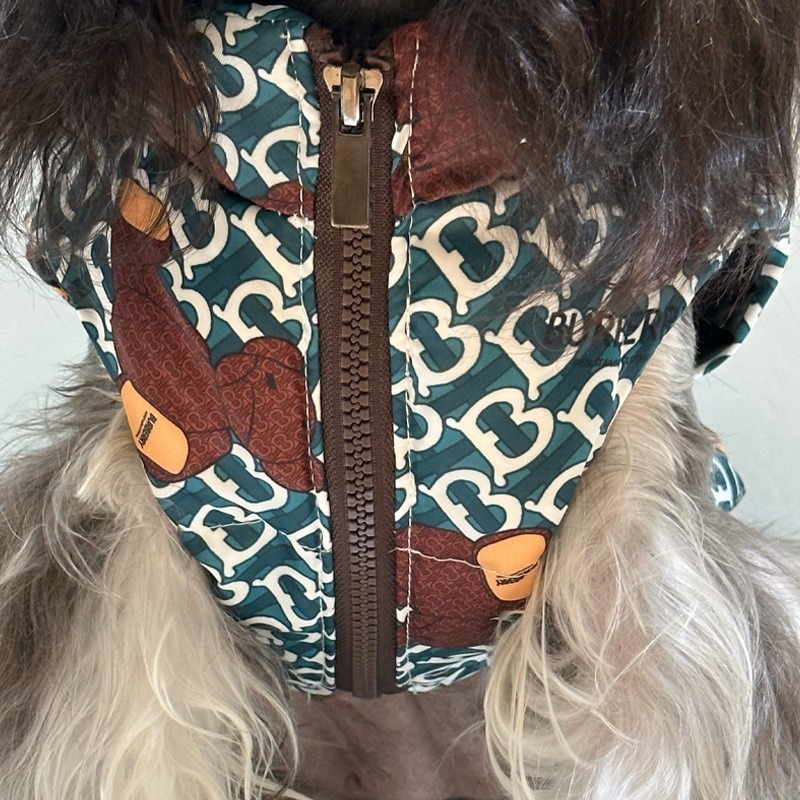 Letter Pattern Pet Down Jacket for Autumn Winter