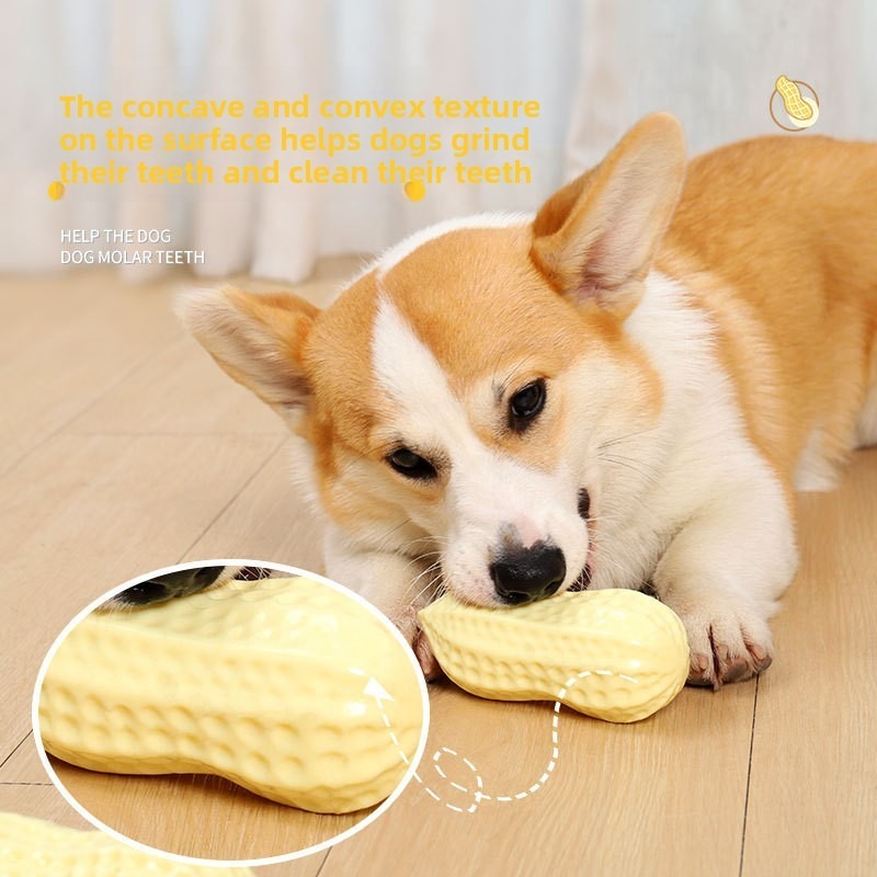 Sounding Peanut PVC Dog Chew Toy for Teeth