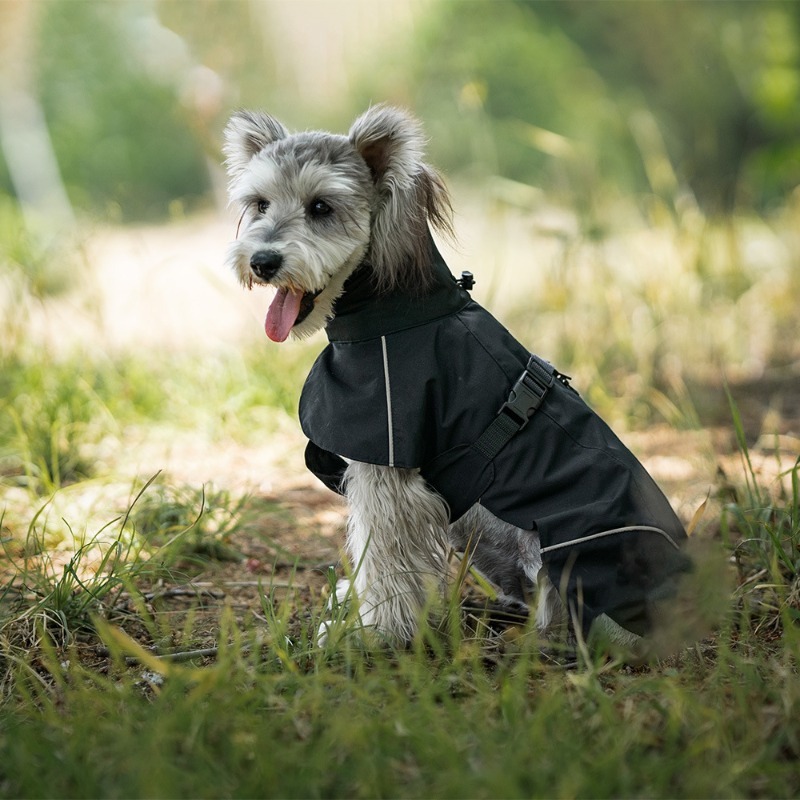 Waterproof Sport Dog Raincoat with Reflective Strip