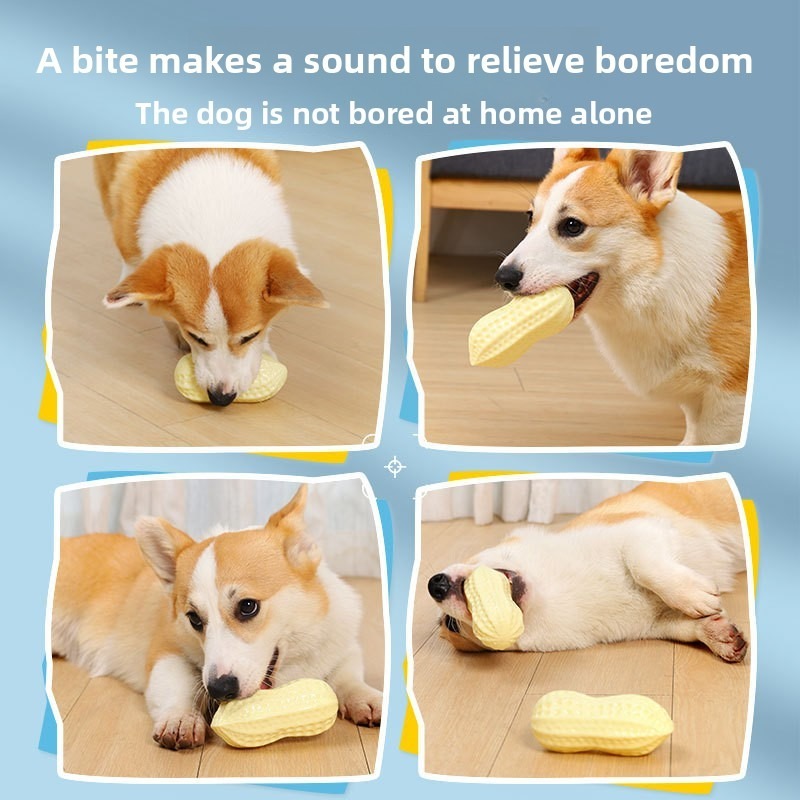 Sounding Peanut PVC Dog Chew Toy for Teeth