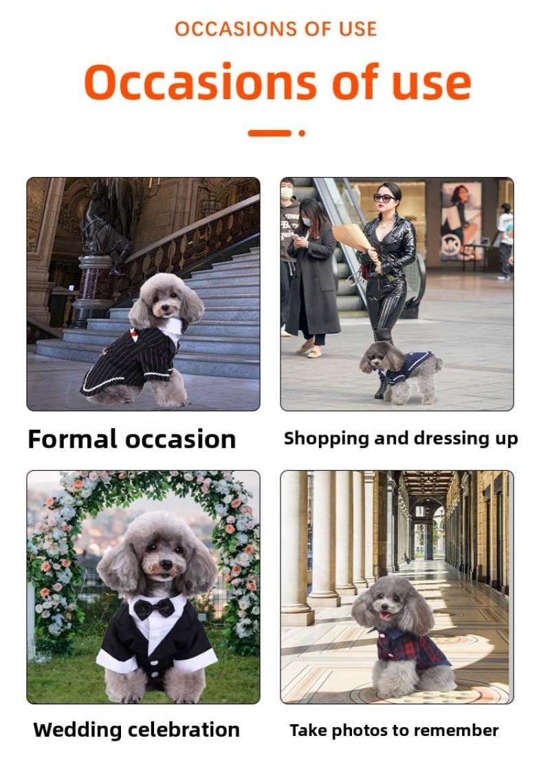 Warm Winter Pet Clothes for Cats and Dogs