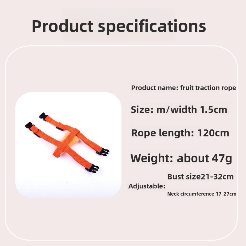 Small Animal Harness Leash Fruit Cartoon Set