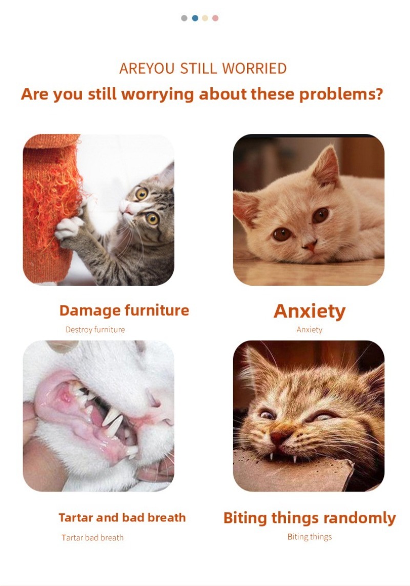 Catnip Plush Mouse Training Toy