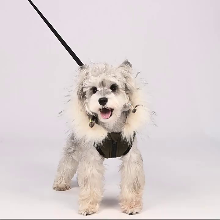 Windproof Hooded Dog Waistcoat with Fur Collar