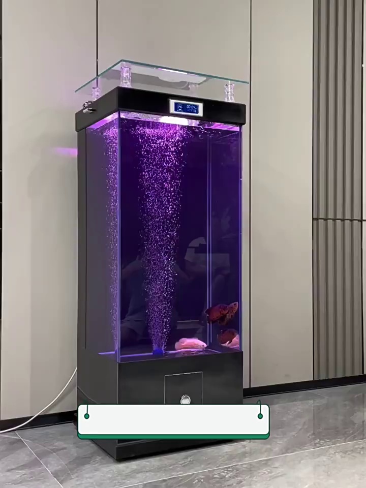 Modern Vertical Glass Aquarium with Display Screen