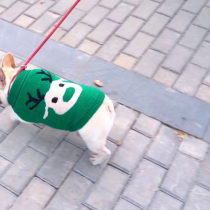 Reindeer Pattern Acrylic Dog Vest for Christmas