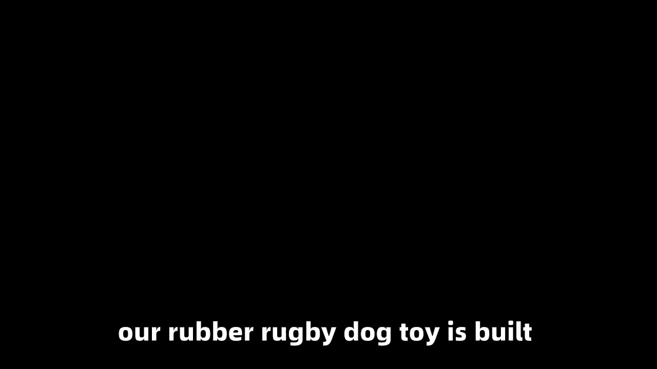 Sounding TPR Dog Chew Toy with Particles