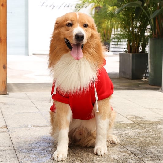 Plaid and solid winter dog hoodies