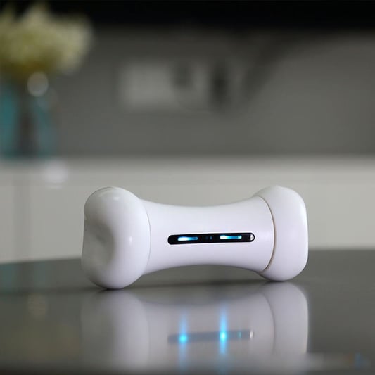 App Controlled Interactive Bone Dog Toy