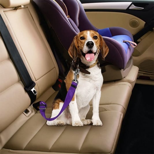 Quick-Release Dog Leash with Alloy Hook and Print