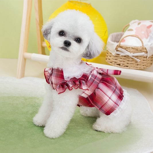 Teddy Bear Style Campus Dress with Leash Hook