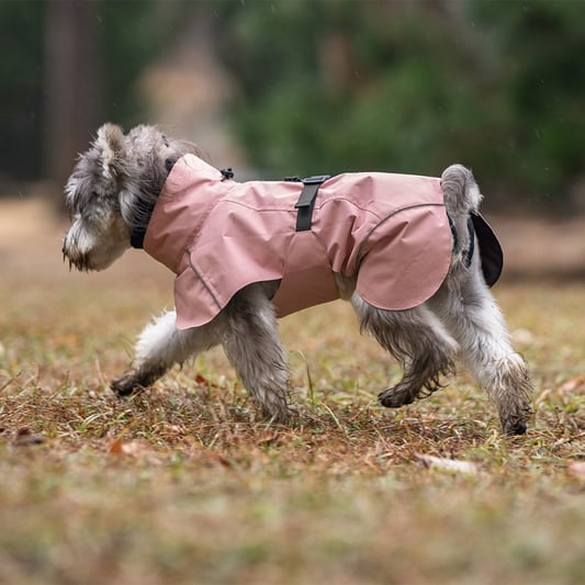 Waterproof Sport Dog Raincoat with Reflective Strip