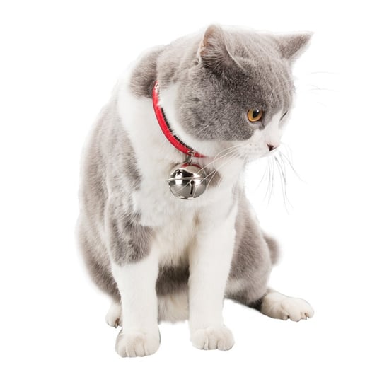 Elegant Breathable Pet Collar with Alloy Paw Print