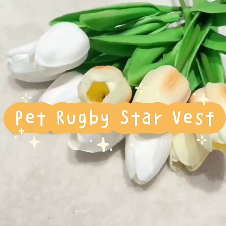 Cartoon Cotton Dog Vest for Spring Summer