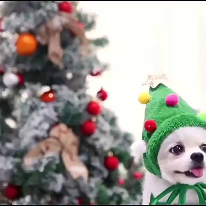 Christmas Flannel Hooded Coat for Pets