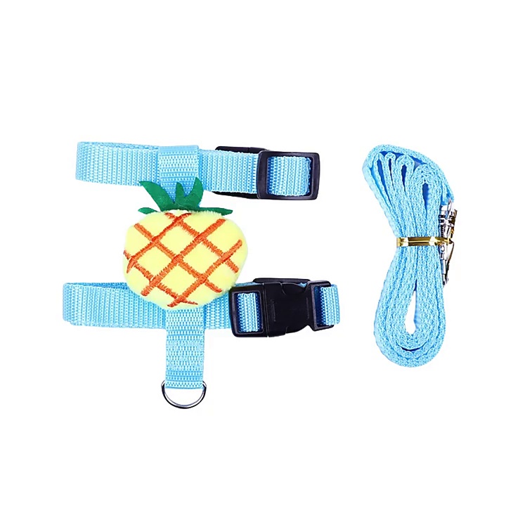 Small Animal Harness Leash Fruit Cartoon Set