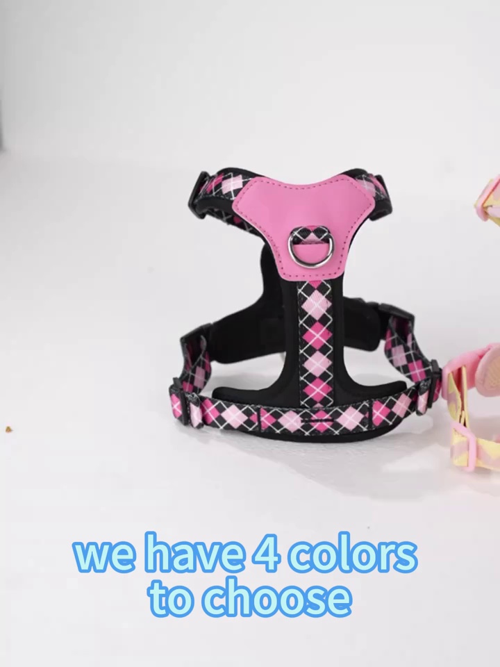 Dog Harness Leash Set Reflective Anti Escape