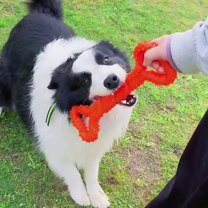 32cm Large TPR Dog Chewing Rod