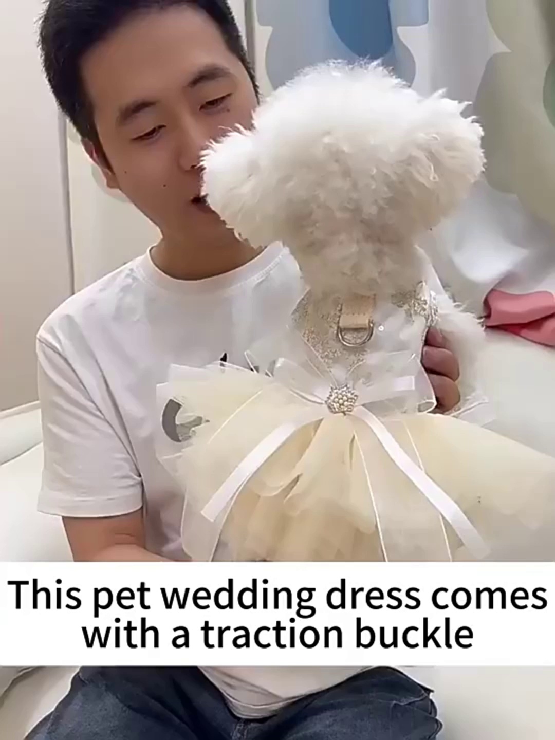 Puffy Saree Princess Dog Dress