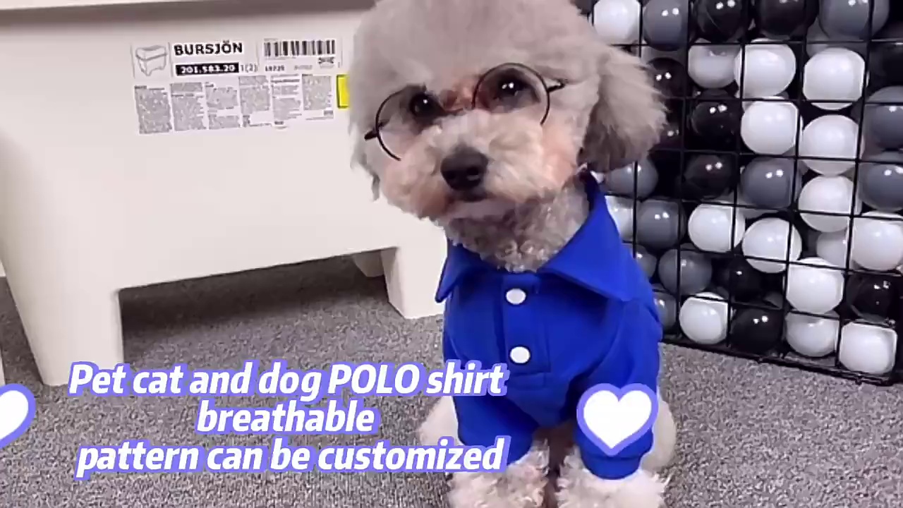 2025 Dog Polo Shirt Multicolor Soft