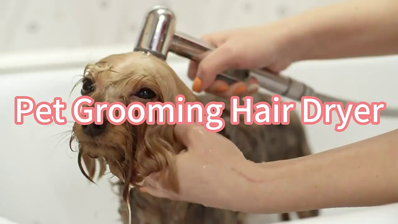 Pet Hair Dryer 2 in 1 Grooming Brush Portable