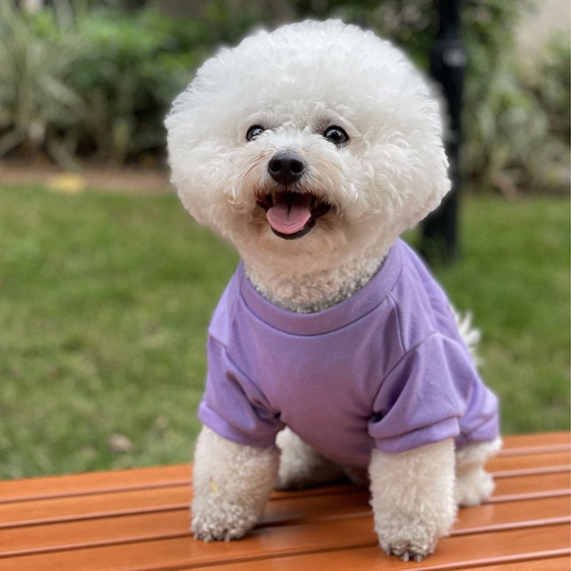 Cotton Dog Vest with English Print