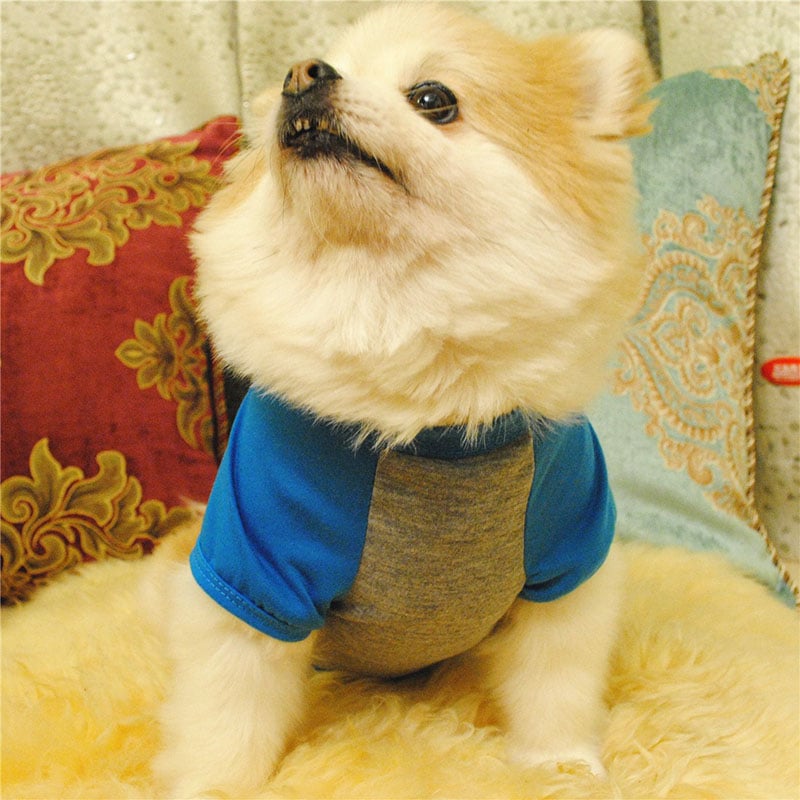 Summer Dog T-Shirt Cute Pet Clothes