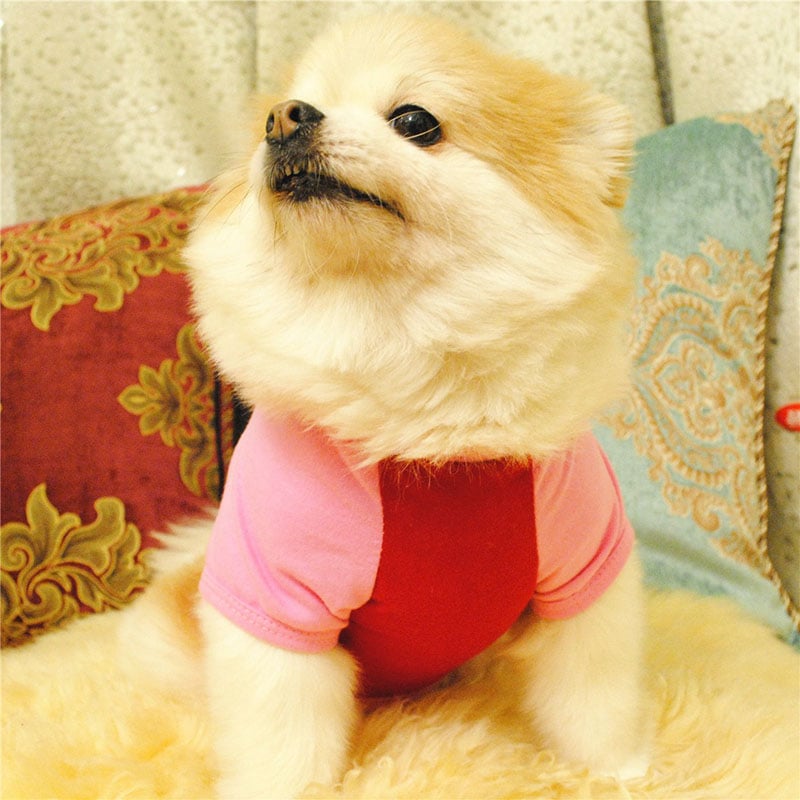Summer Dog T-Shirt Cute Pet Clothes