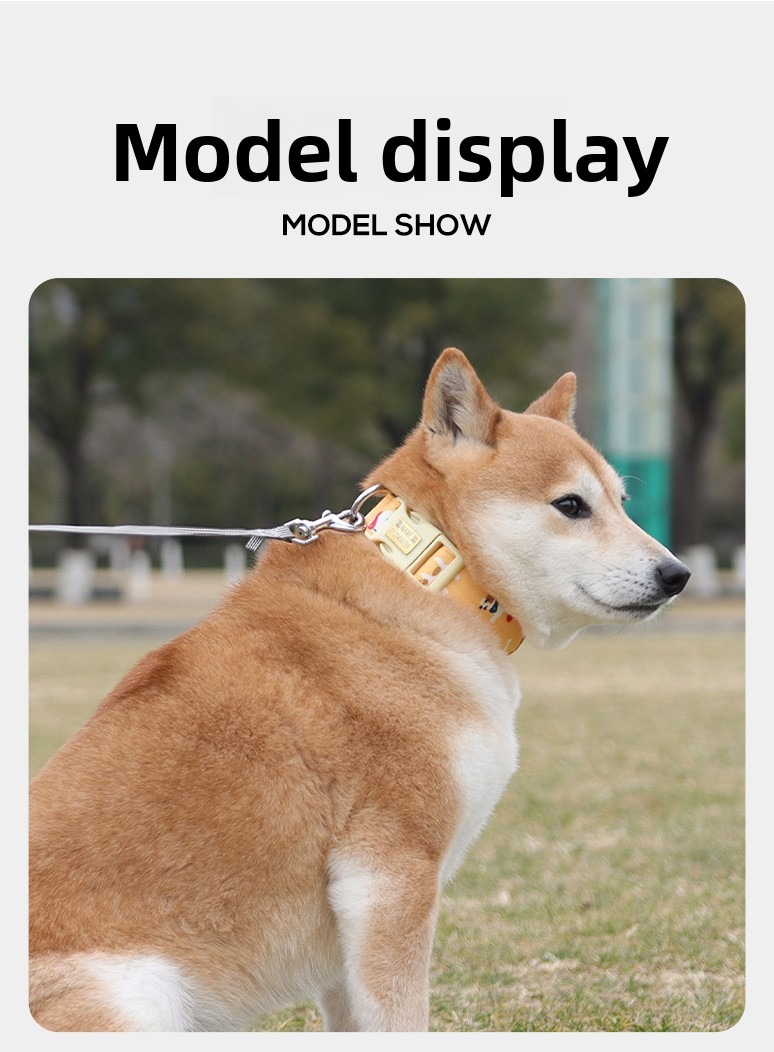 Tactical Dog Collar with Padded Leash