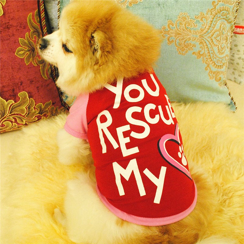Summer Dog T-Shirt Cute Pet Clothes