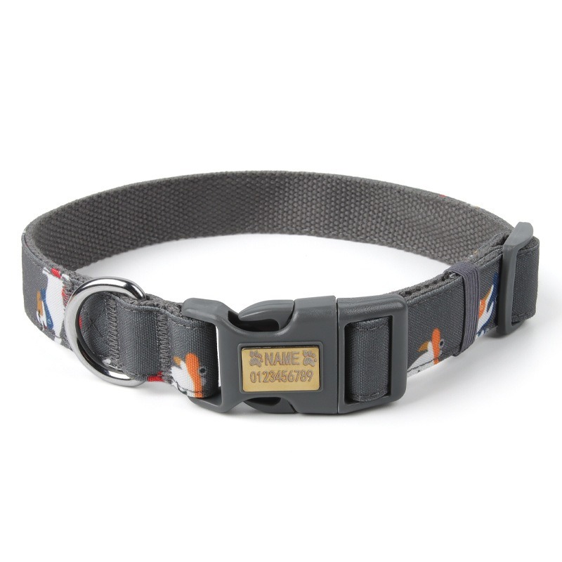 Tactical Dog Collar with Padded Leash